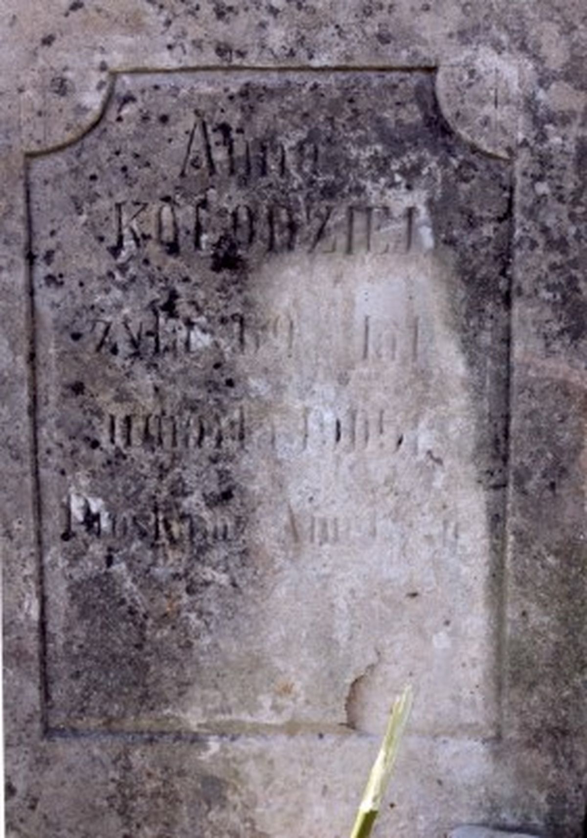 Tombstone Anna Kołodziej, cemetery in Strusowo