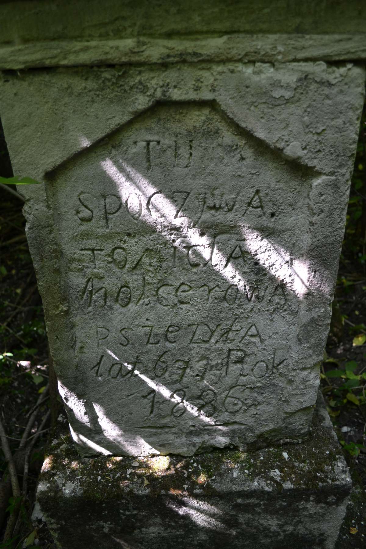 Inskrypcja z nagrobka Tomiry Kolceowej, cmentarz w Bucniowie