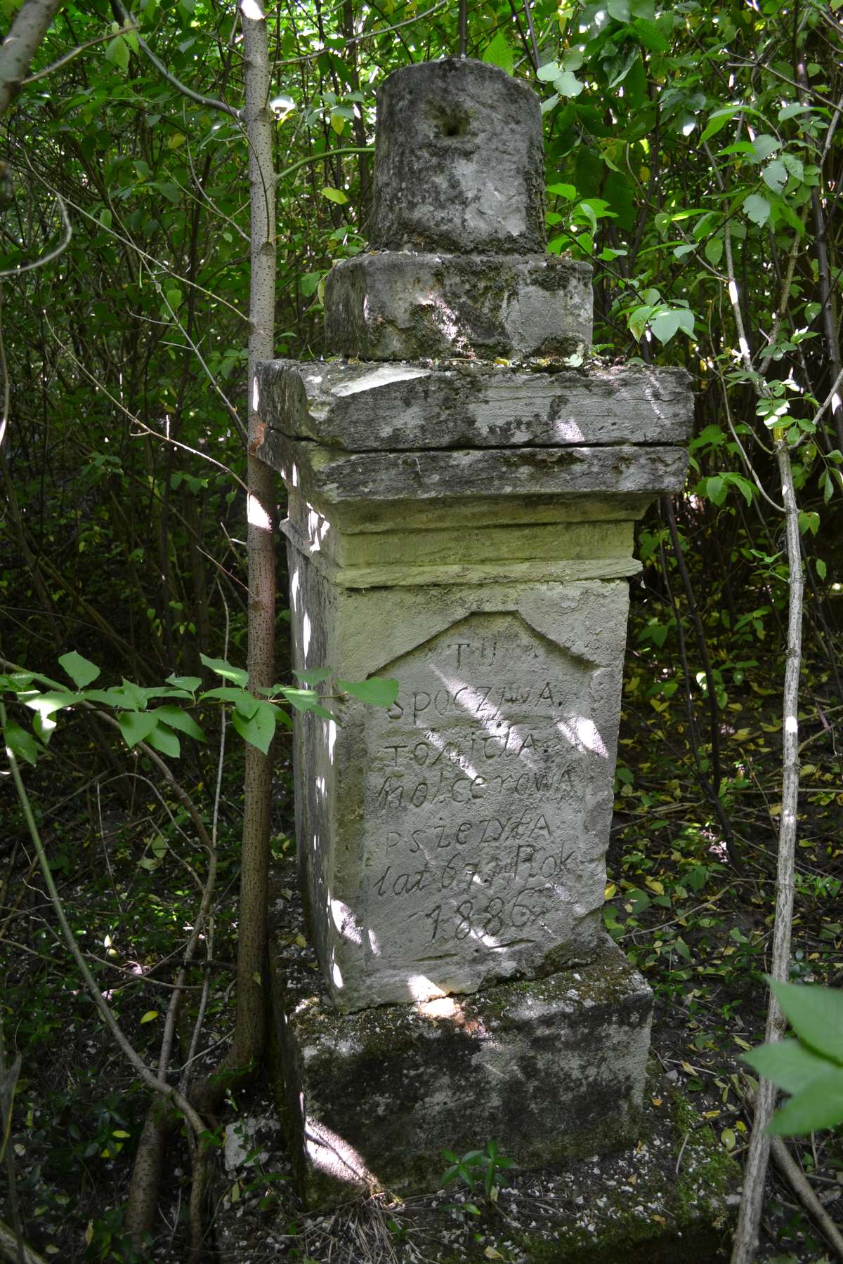 Tomira Kolceva's tombstone, Bucniowie cemetery