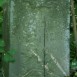 Fotografia przedstawiająca Tombstone of Witold and Zofia Moszyński