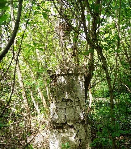 Nagrobek Karola Zabawy