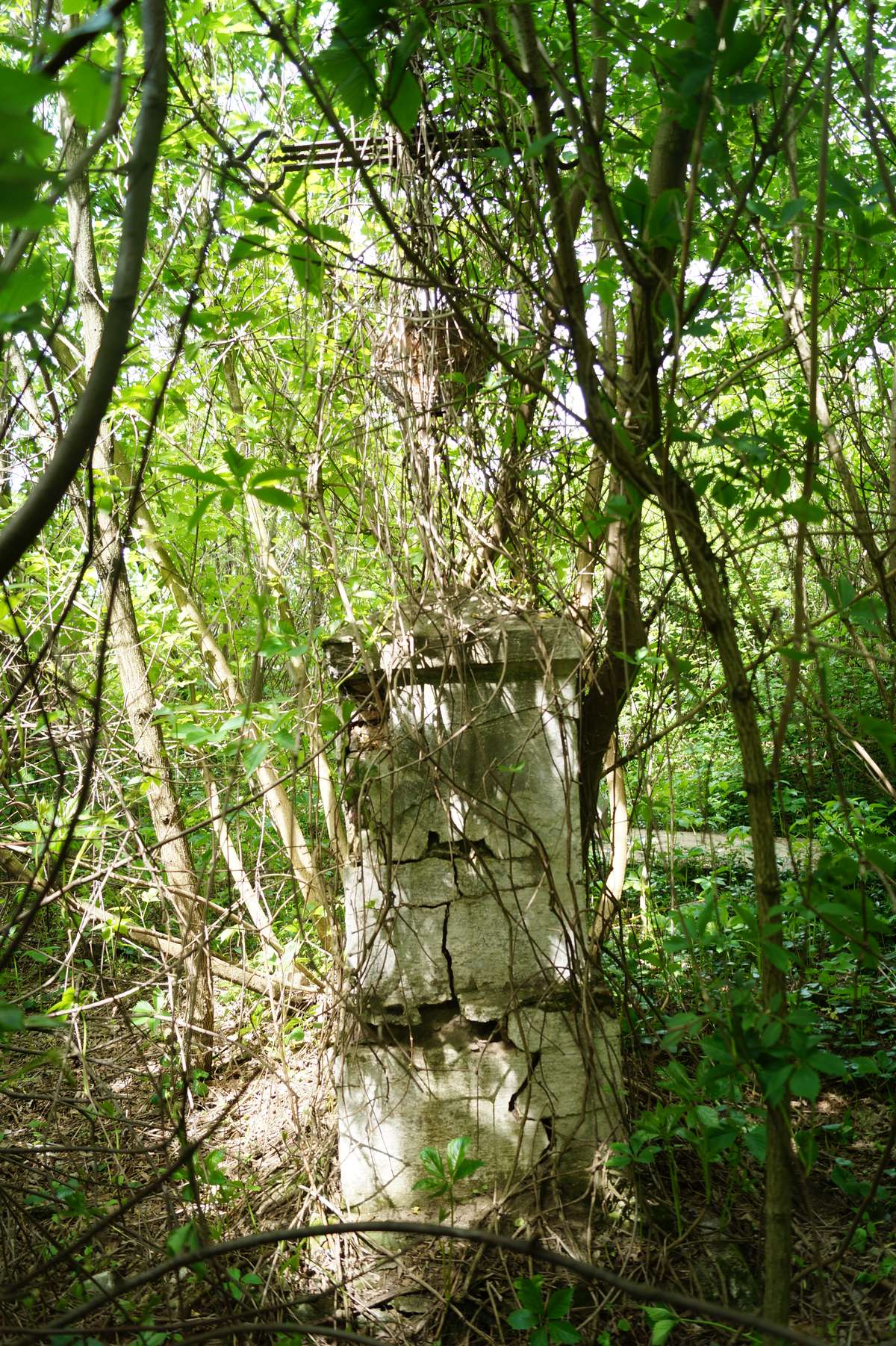 Tombstone of Karol Zabawa