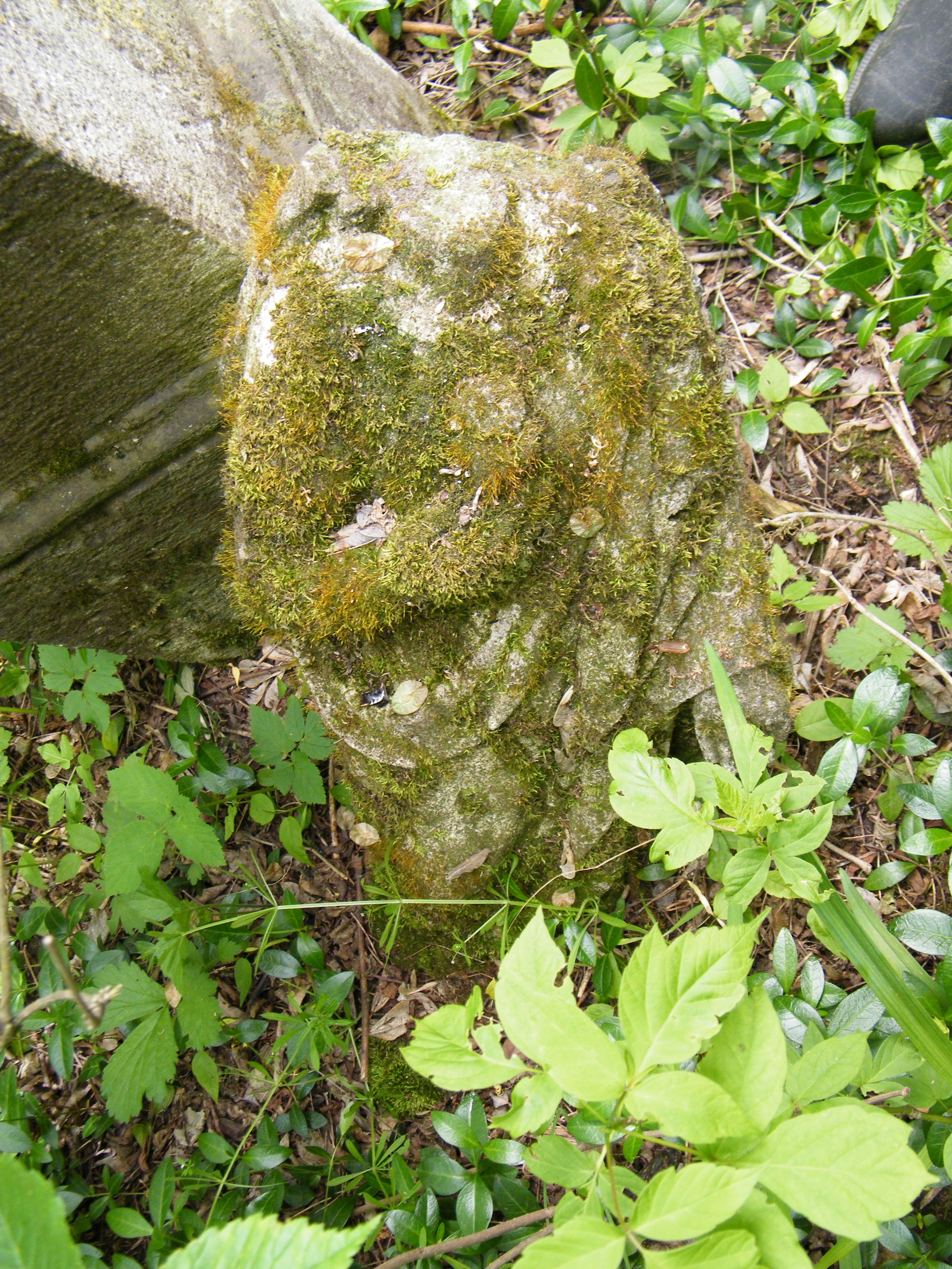 Fragment of Joseph E's gravestone in Draganovka cemetery