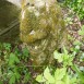 Photo showing Tombstone of Joseph E