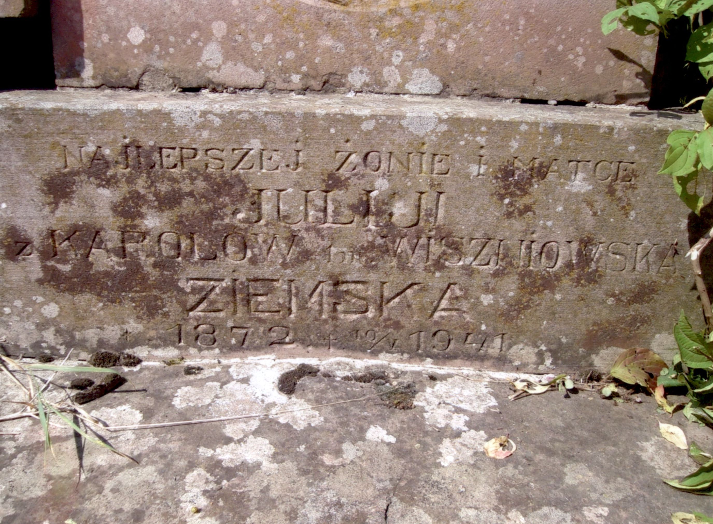 Tombstone of Julia Wiszniowska-Ziemska, Strusowo cemetery