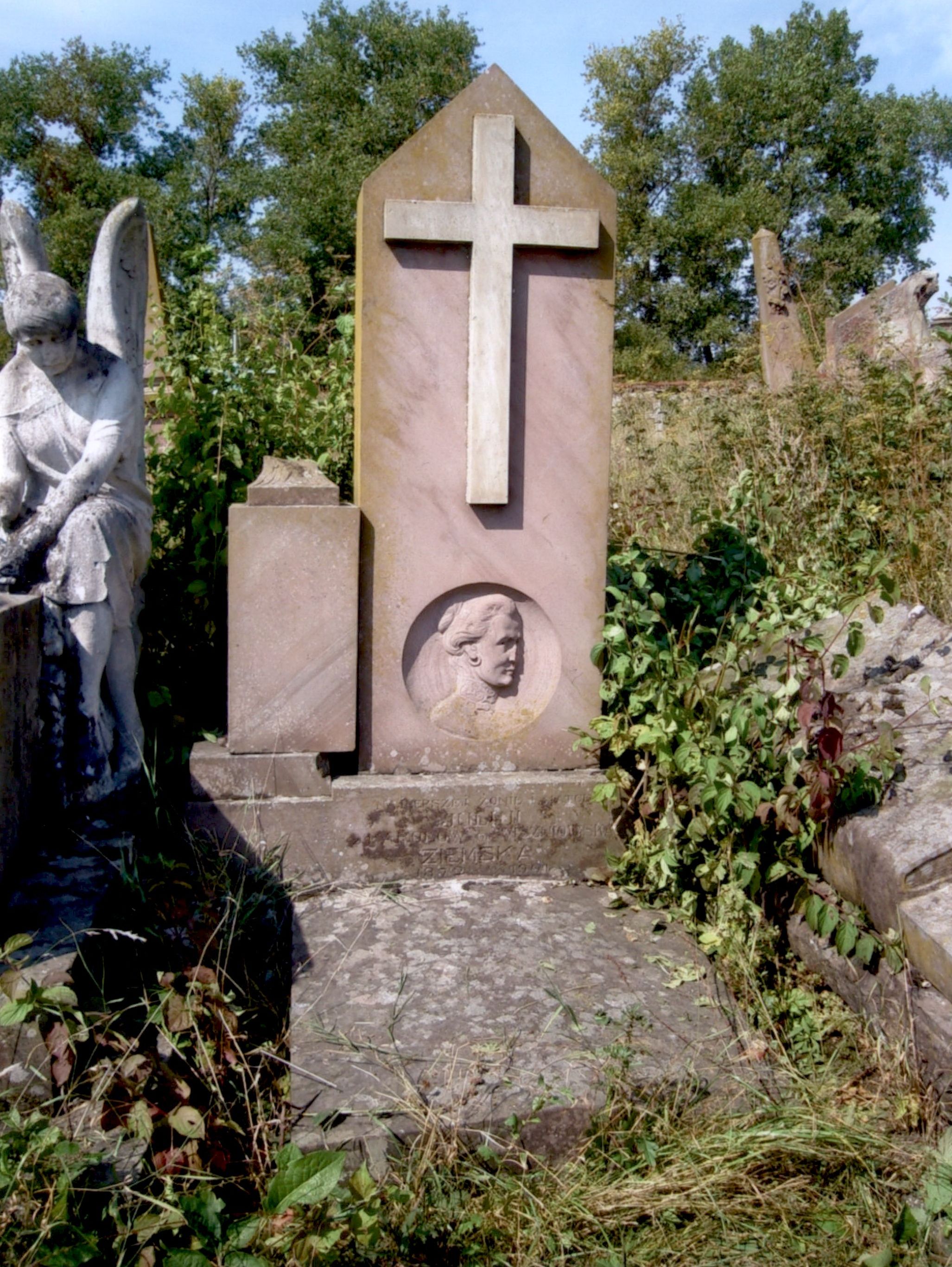 Tombstone of Julia Wiszniowska-Ziemska, Strusowo cemetery