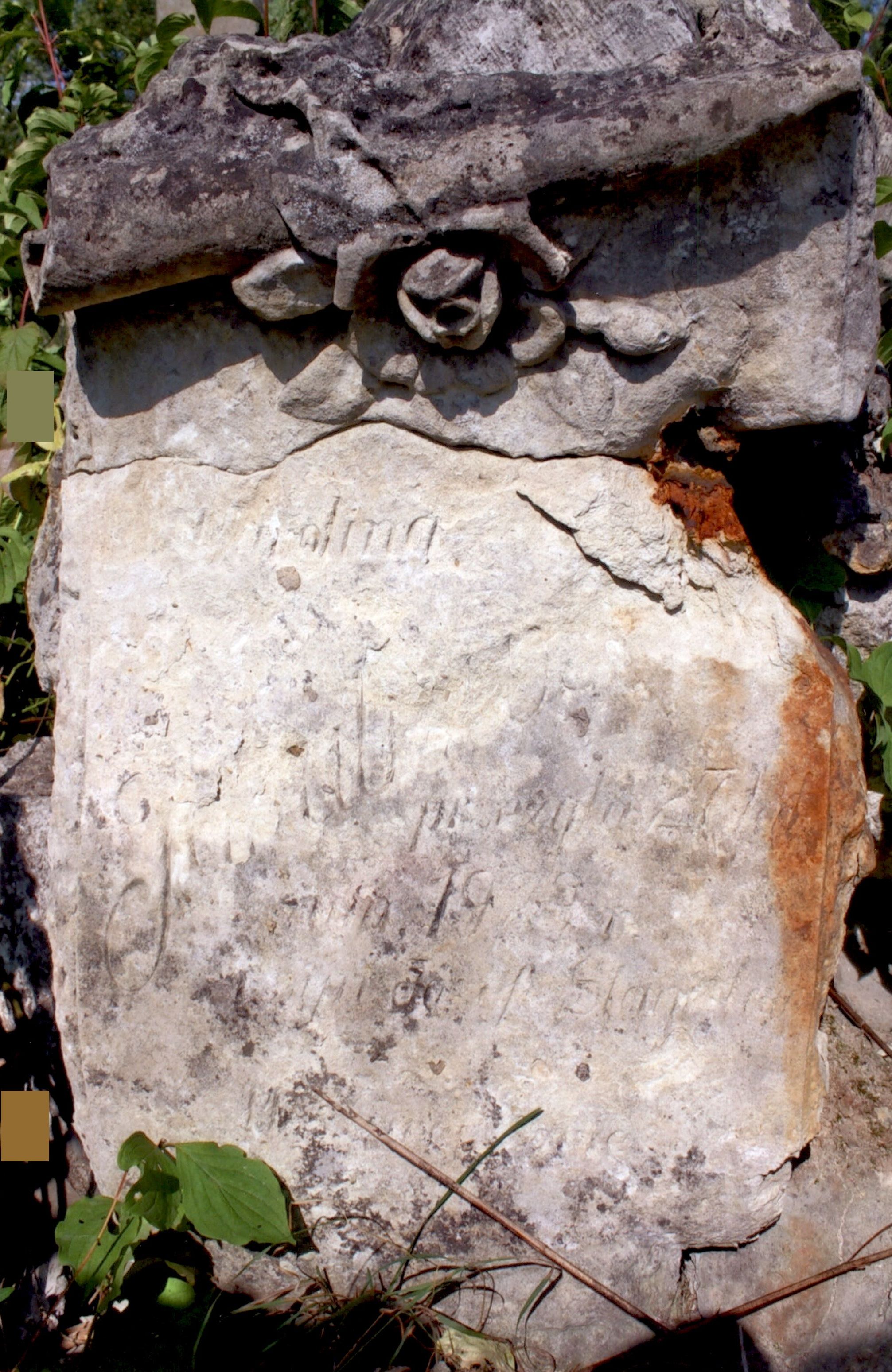 Tombstone of Józef and Karolina Jakubowicz, Strusowo cemetery