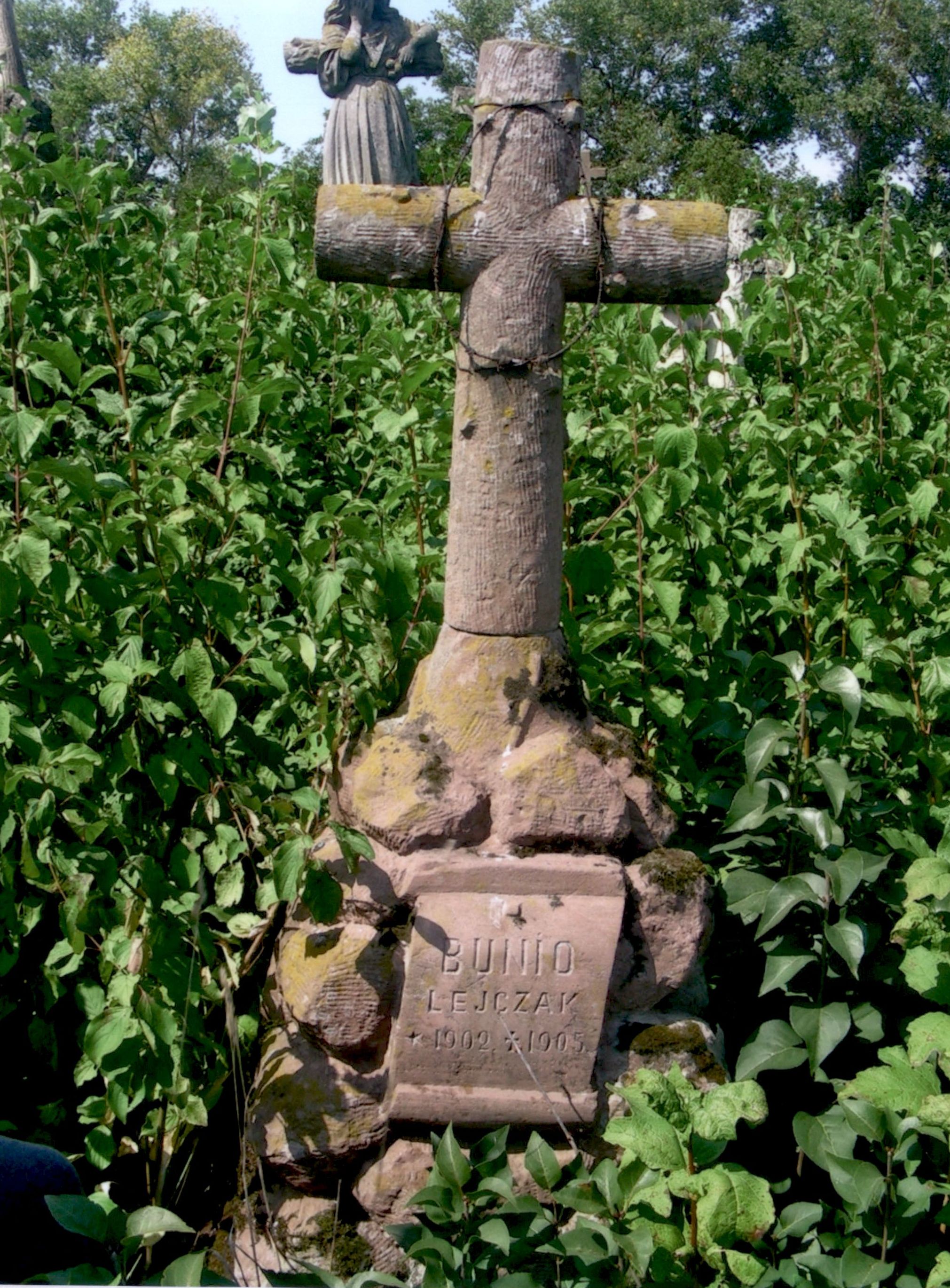 Tombstone of Bunio Lejczak, Strusov cemetery