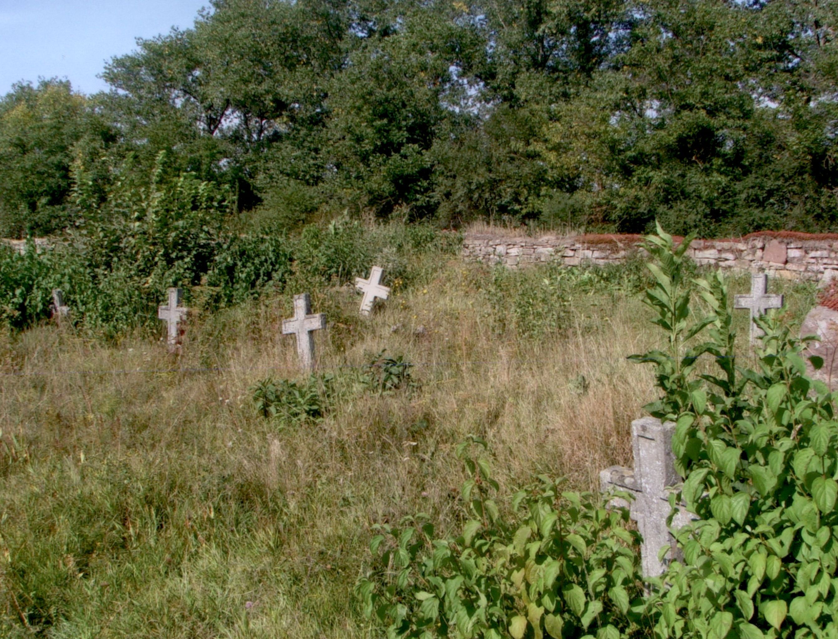 Tombstone Monument to Fallen Poles, Strusov Cemetery