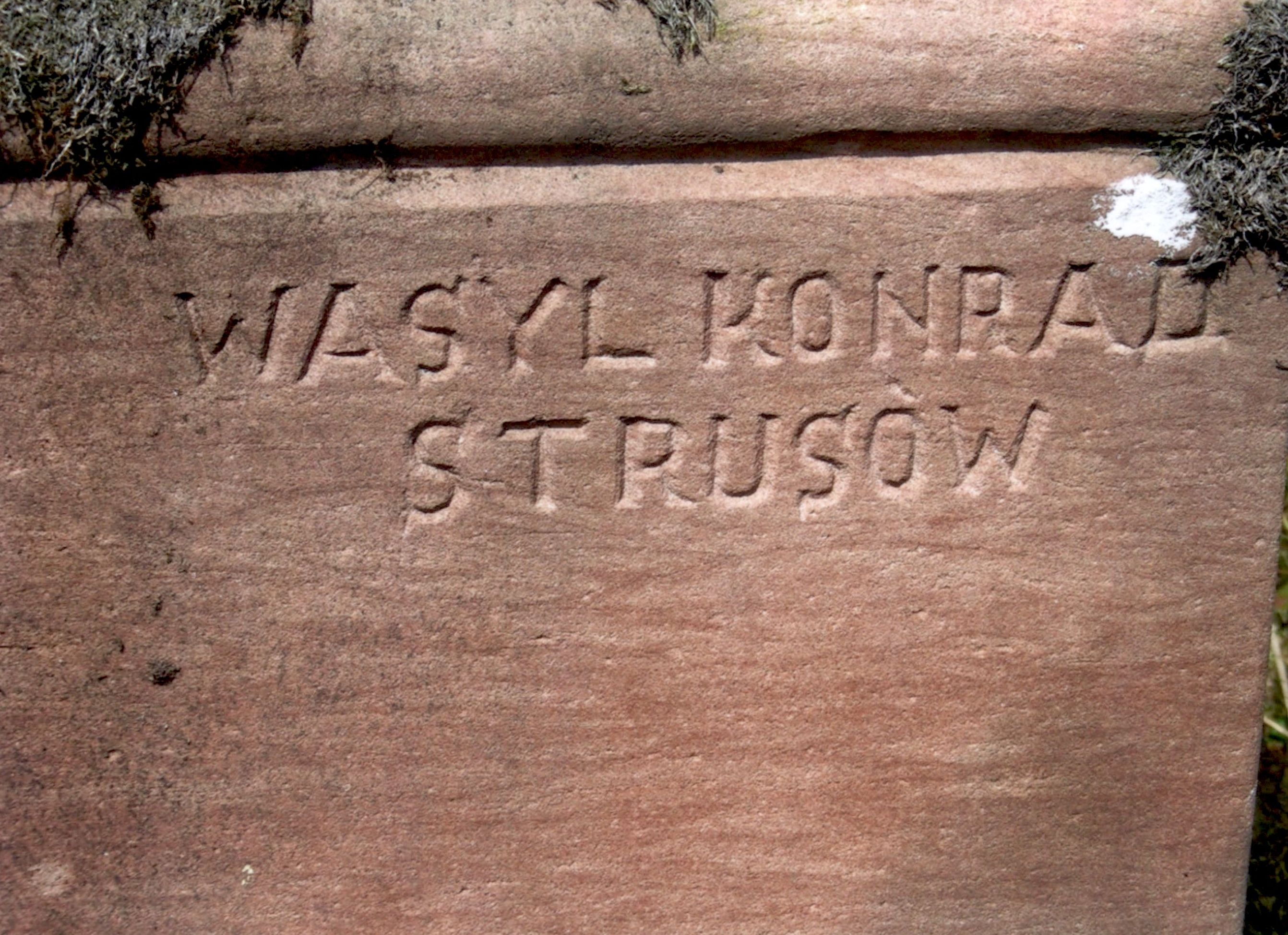 Tombstone Stanisław Czyppa, Strusowo cemetery