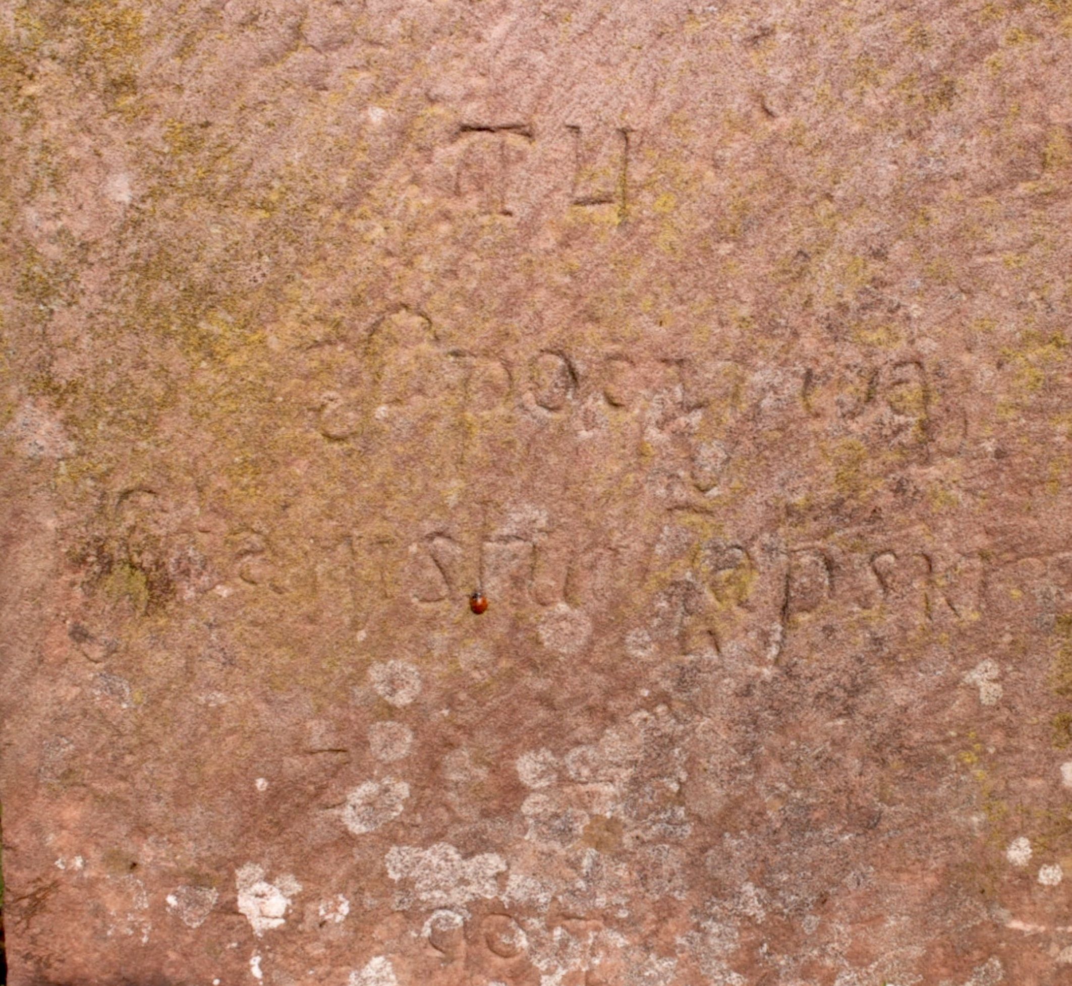 Tombstone Stanisław Japski, Strusowo cemetery