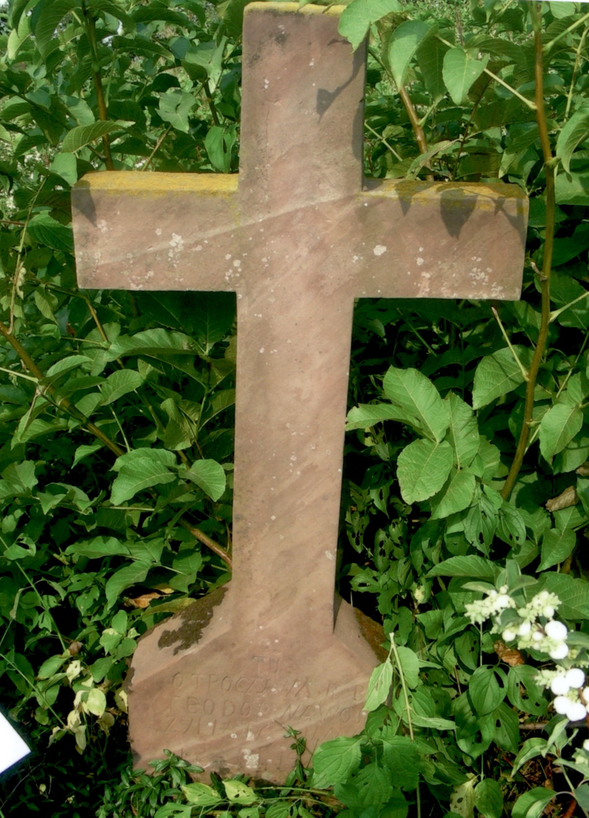 Tombstone of Teodor Nowosasd, Strusov cemetery