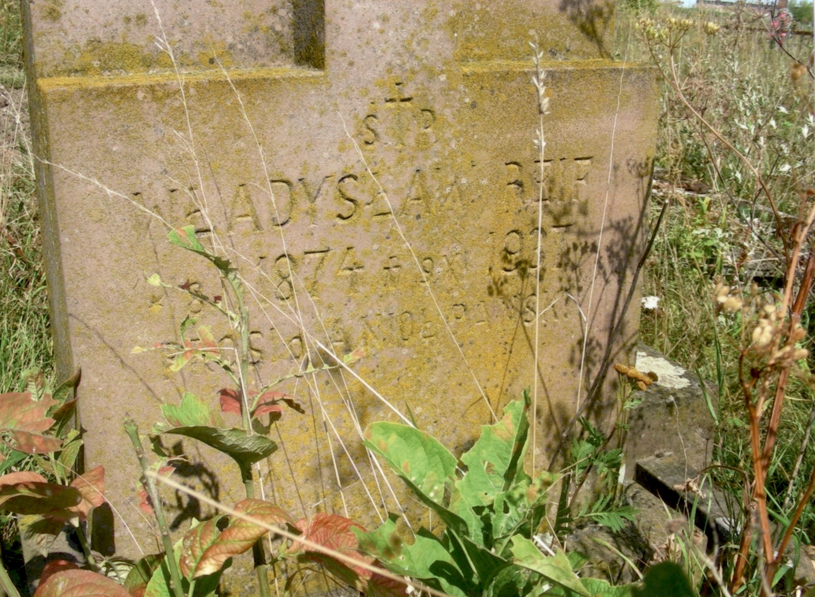 Tombstone of Władysław Reif, Strusowo cemetery