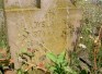 Fotografia przedstawiająca Tombstone of Wladyslaw Reif