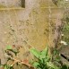 Fotografia przedstawiająca Tombstone of Wladyslaw Reif