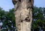 Fotografia przedstawiająca Tombstone of Rozalia Blaszczyszyn