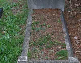 Nagrobek Zofii Zaleskiej