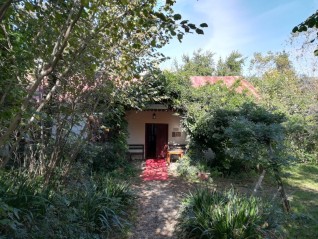 Dom Cioci Zosi, stan przed pracami konserwatorskimi