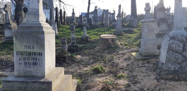 Cmentarz w Zbarażu po wykonaniu prac porządkowych