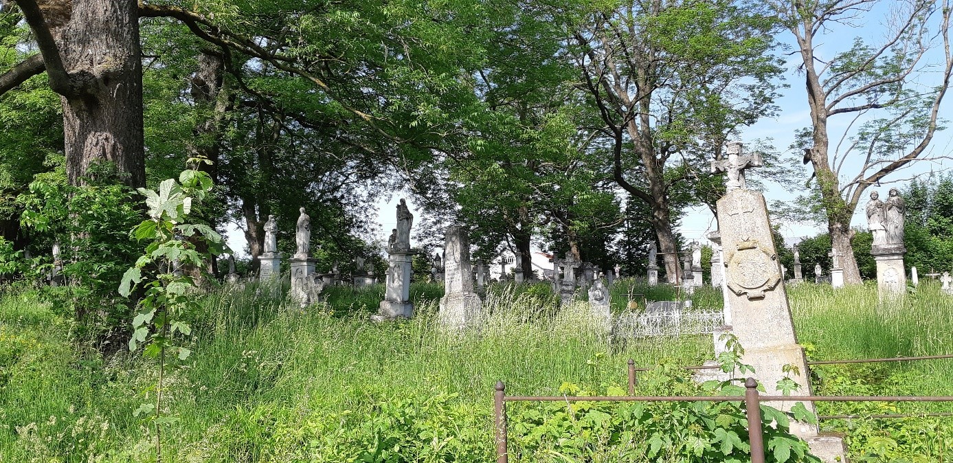Zbarazh cemetery before the works were carried out