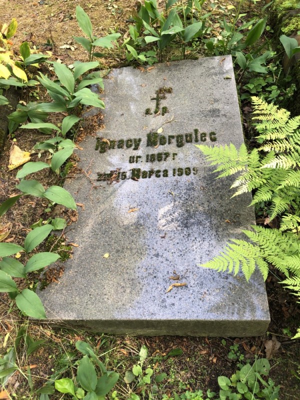 Nagrobek I. Morgulca na cmentarzu św. Michała w Rydze, stan przed pracami konserwatorskimi