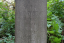 Photo montrant Tombstone of Anastazy Bielacki