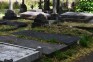 Fotografia przedstawiająca Tombstone of the Starzewski and Rościszewski families