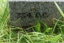 Fotografia przedstawiająca Tombstone of Andrzej Jeziorski and the Sokołowski family