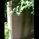 Fotografia przedstawiająca Nagrobek Wiktora Baranowskiego