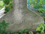 Альтернативний текст фотографії