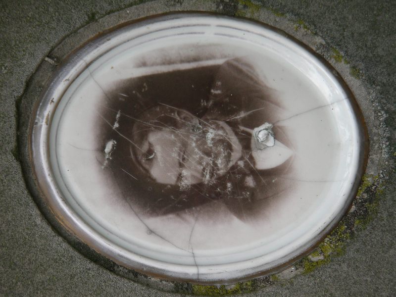 Tombstone of Adolf Fedorowicz, Trembowla cemetery, sector 5