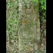 Fotografia przedstawiająca Nagrobek Marii Prystupy
