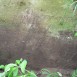 Альтернативний текст фотографії