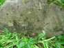 Альтернативний текст фотографії