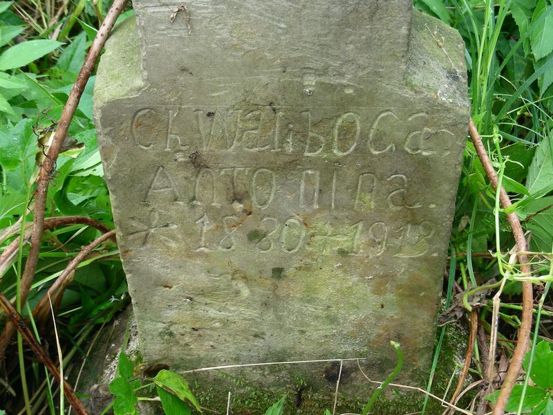 Tombstone of Antonina Chwalibóg, Trembowla cemetery, sector 5