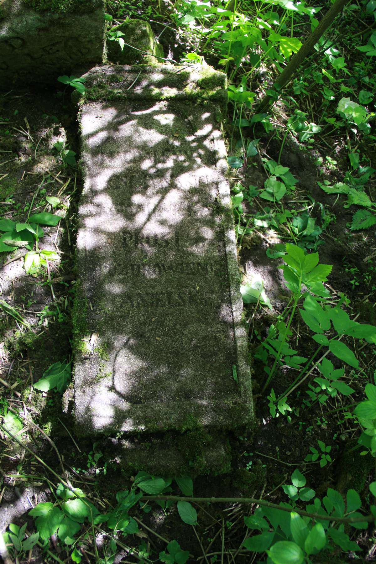 Tombstone of Magdalena Komarnicka, Kozlowo cemetery