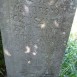 Fotografia przedstawiająca Tombstone of Jan Sopczyszyn