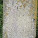 Fotografia przedstawiająca Tombstone of Jan, Josef and Maria Sopczyszyn