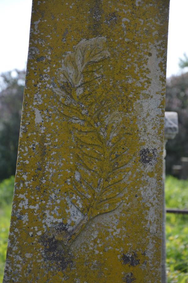 Detail of Szczepan Szymczyszyn's gravestone, Myszkowice cemetery