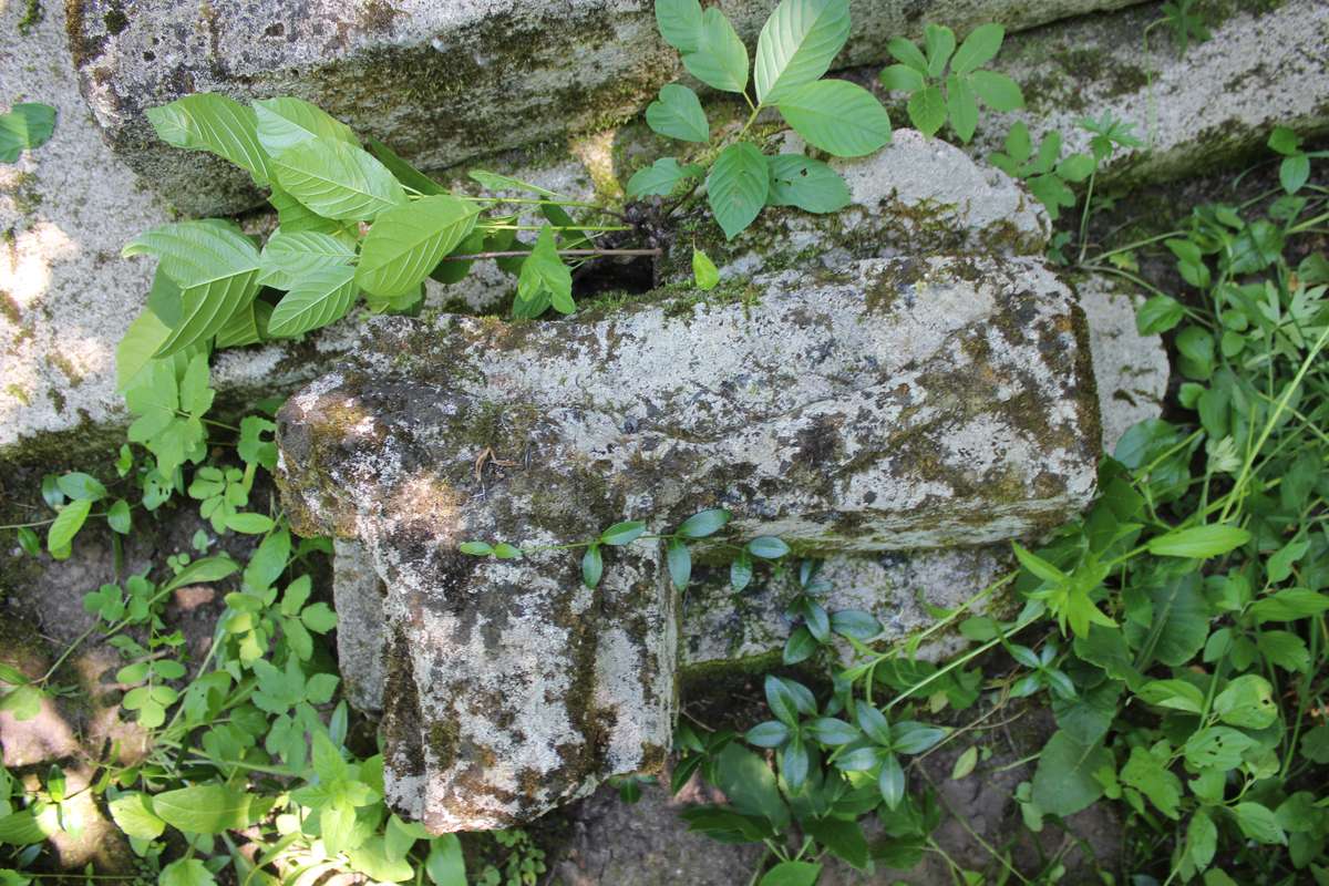 Fragment of the tombstone of Franciszek and Piotr Michalowicz, Kutkowce cemetery, 2018