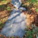Альтернативний текст фотографії