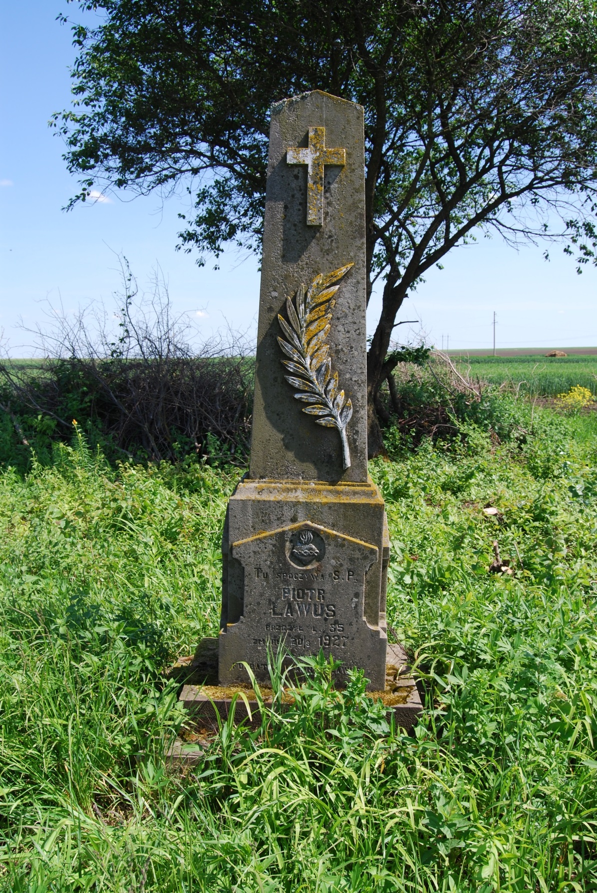 Tombstone of Piotr Ławus, Białoskórka cemetery, 2018