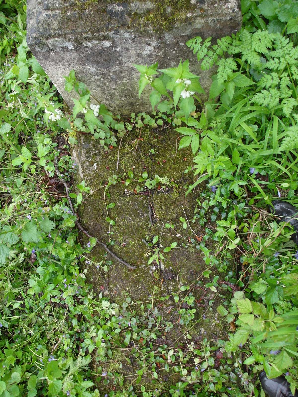 Gravestone of Feliks Bartkow, cemetery in Oprylovce