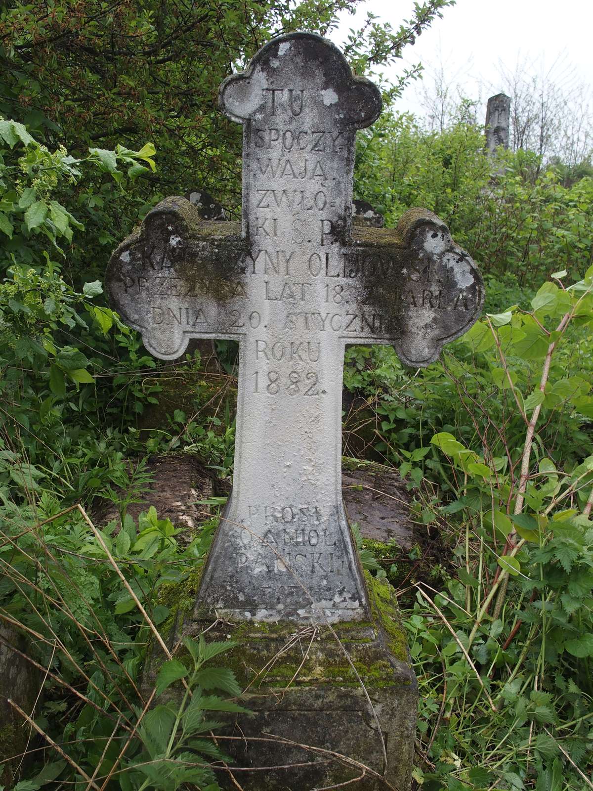 Inscription from the gravestone of Katarzyna Olijowska, cemetery in Oprylovce