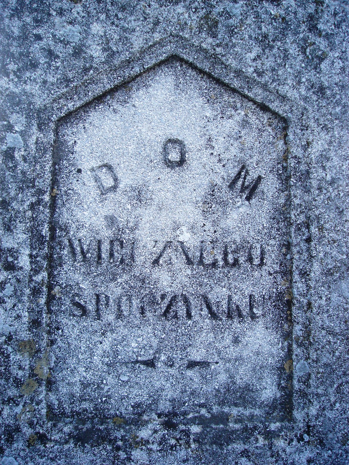 Fragment of a gravestone of Franciszka Kropielnicka and Zofia Lewicka, Chorostkowo cemetery, sector 5