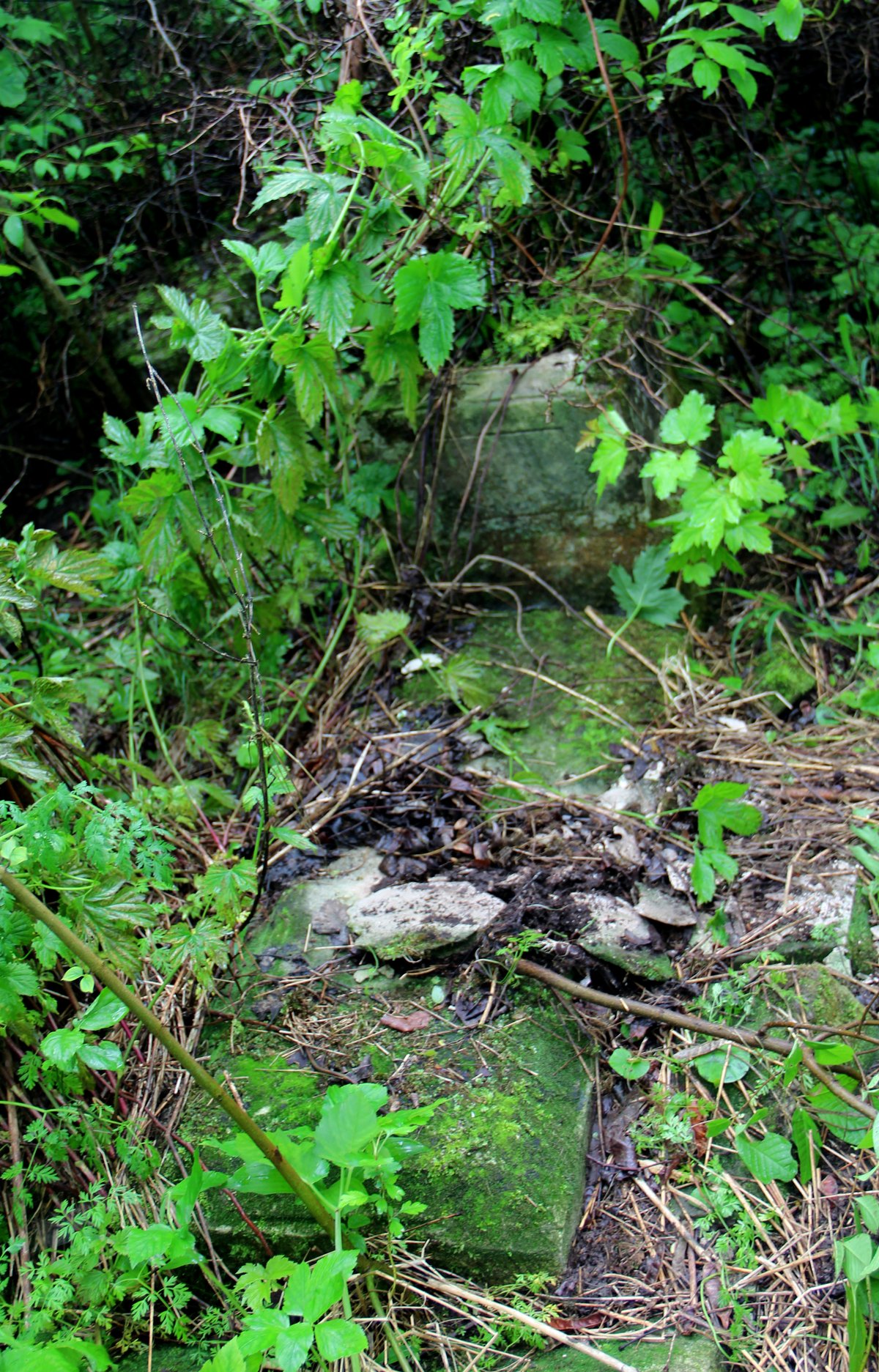 Gravestone of Marcin Dubieli, cemetery in Oprylovce