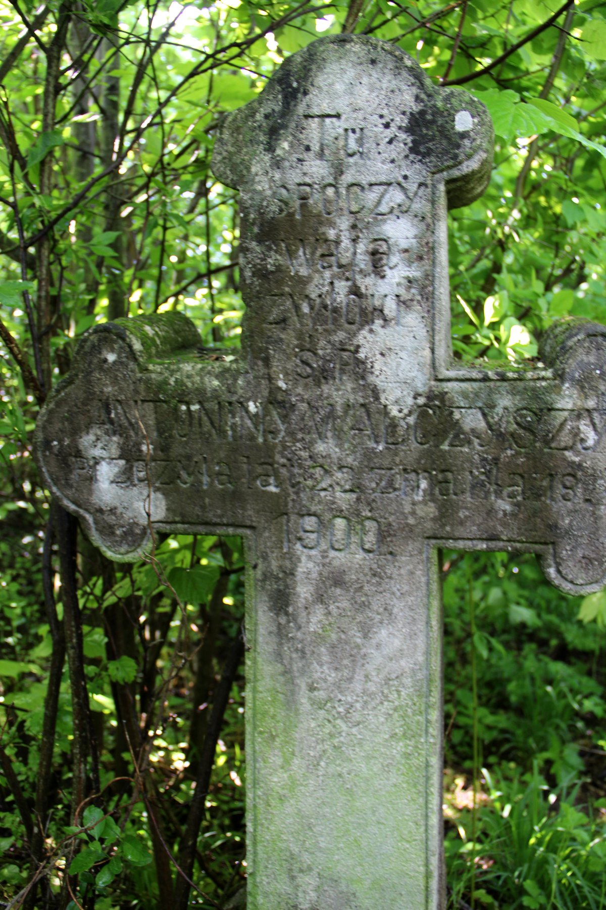 Inscription from the gravestone of Antonina Walczyszyn, cemetery in Oprylovce