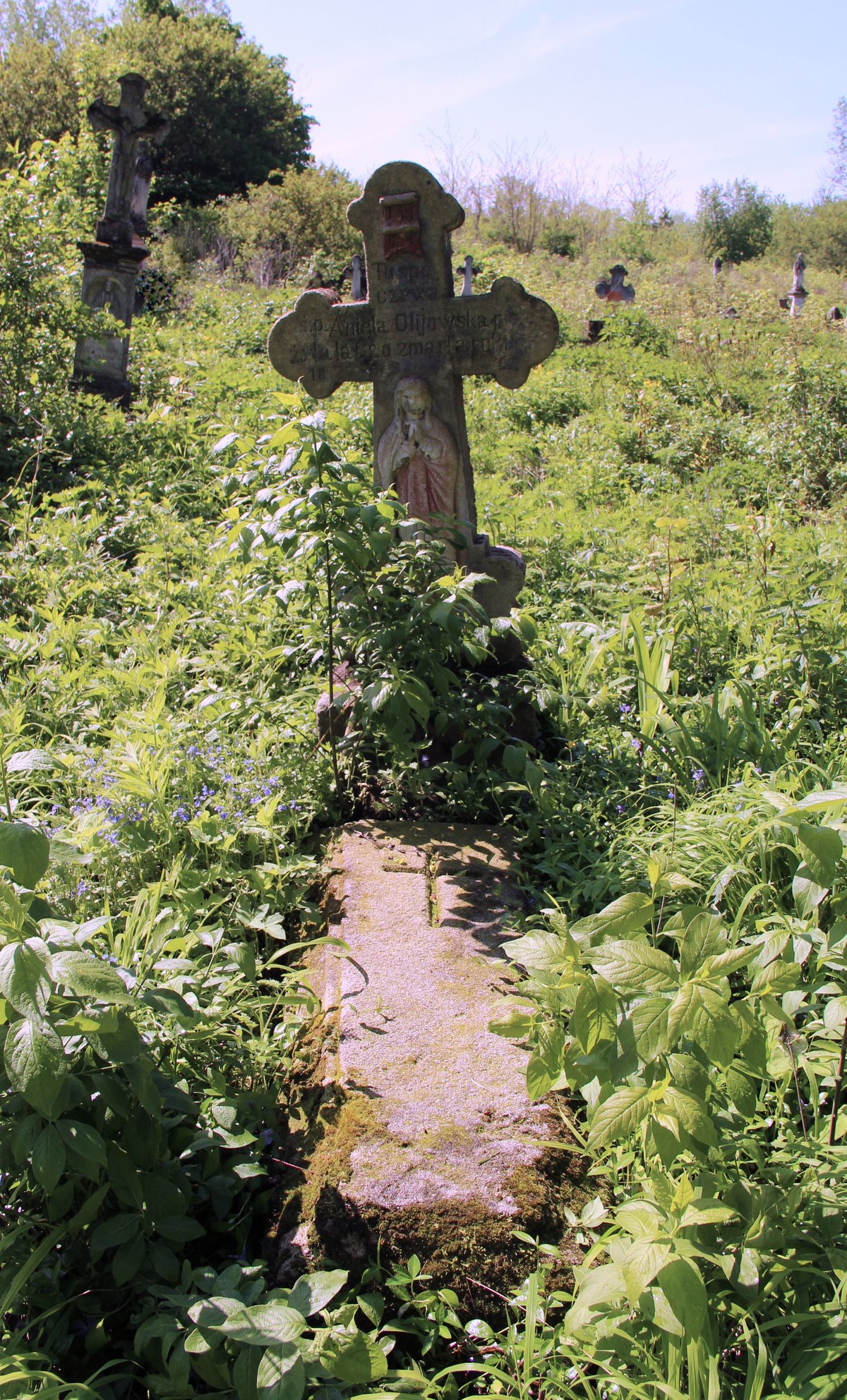 Tombstone of Aniela Olijowska, cemetery in Oprylovce