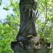 Fotografia przedstawiająca Tombstone of Doe and Victoria Strze[...].