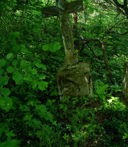 Nagrobek Jana Tarniawy, cmentarz w Kozłowie